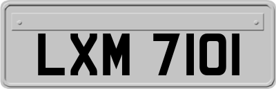 LXM7101