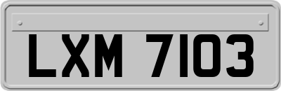 LXM7103