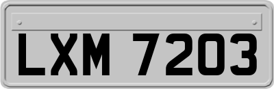 LXM7203