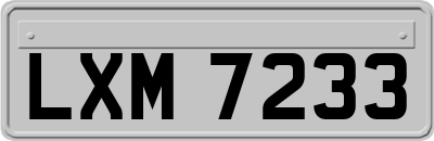 LXM7233