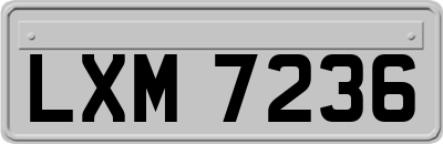 LXM7236