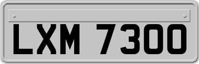 LXM7300