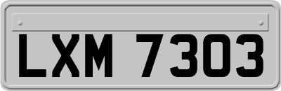 LXM7303