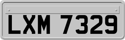 LXM7329