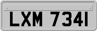 LXM7341