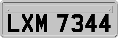 LXM7344