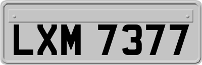 LXM7377