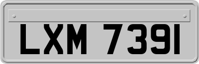 LXM7391