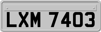 LXM7403