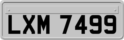 LXM7499