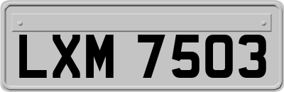 LXM7503