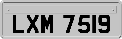 LXM7519