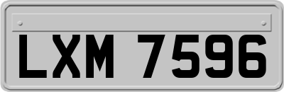 LXM7596