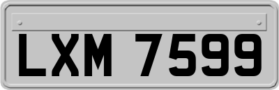 LXM7599