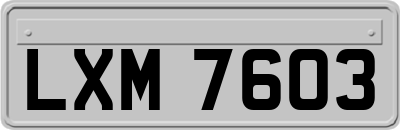 LXM7603