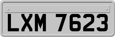 LXM7623