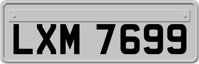 LXM7699
