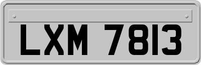 LXM7813
