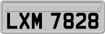 LXM7828