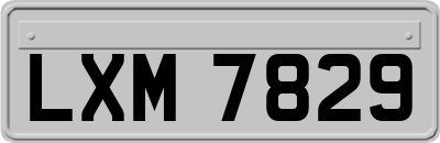 LXM7829