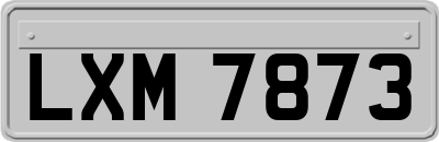 LXM7873