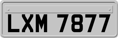 LXM7877