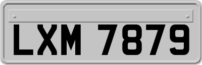 LXM7879