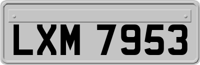 LXM7953