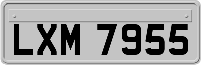 LXM7955