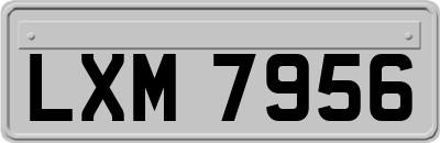 LXM7956