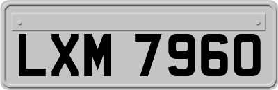 LXM7960