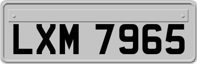 LXM7965