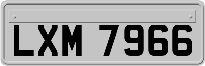 LXM7966