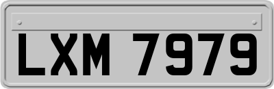 LXM7979