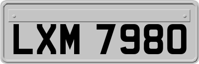 LXM7980