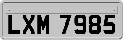 LXM7985
