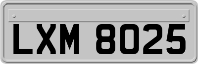 LXM8025