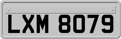 LXM8079