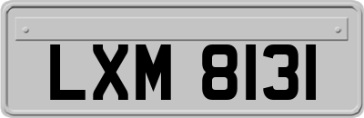 LXM8131