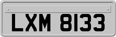 LXM8133