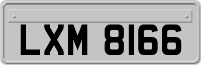 LXM8166