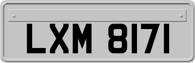 LXM8171