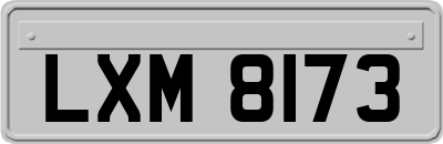 LXM8173