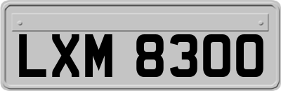 LXM8300