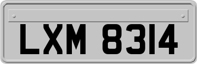 LXM8314