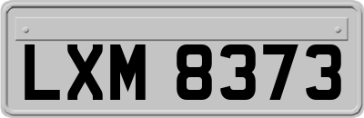 LXM8373