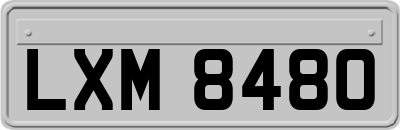 LXM8480