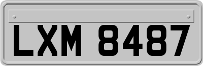LXM8487