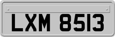 LXM8513