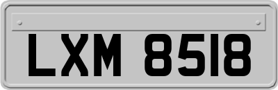 LXM8518